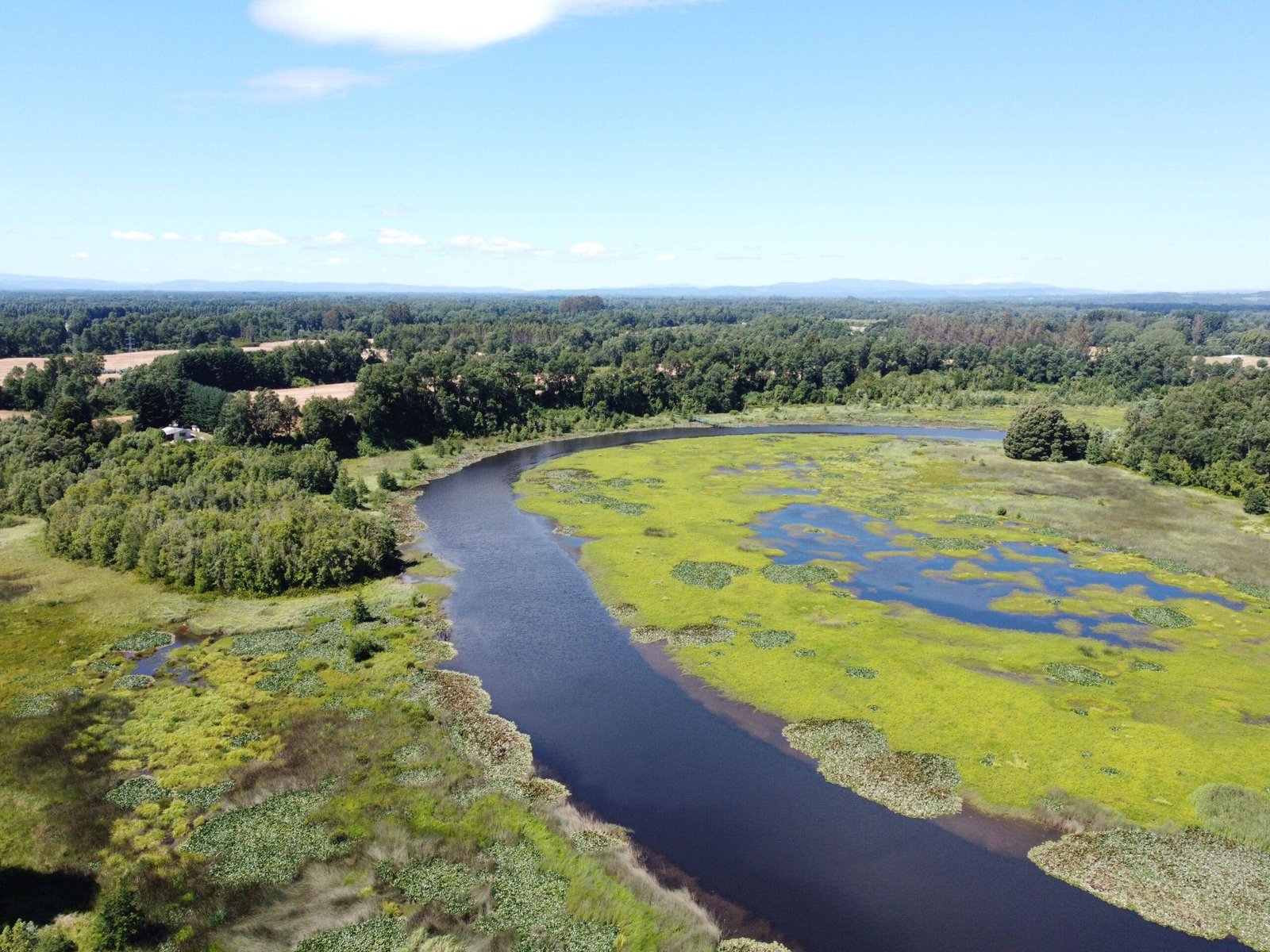 property_gallery_img_4695