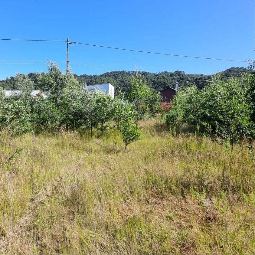 property_gallery_img_4656