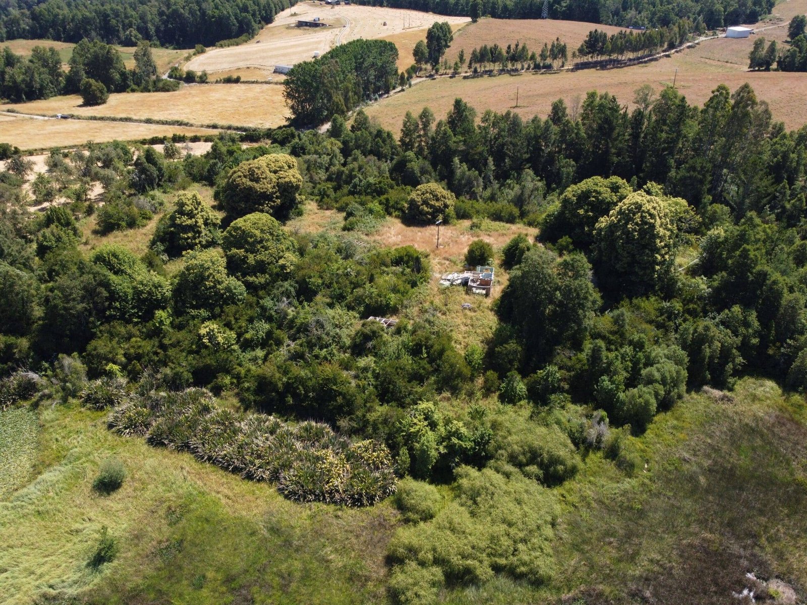 property_gallery_img_4704