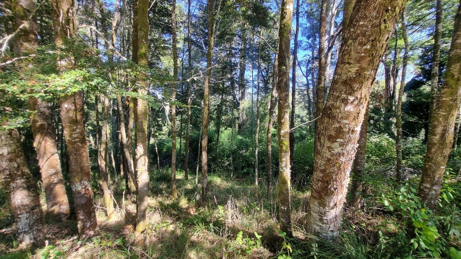 property_gallery_img_4673