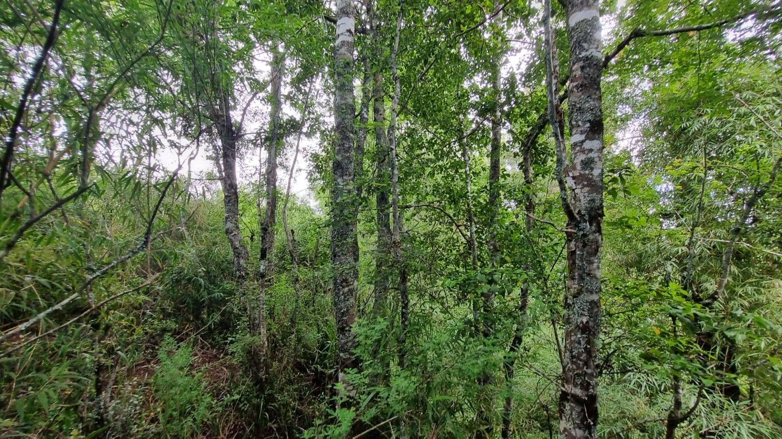 property_gallery_img_4601