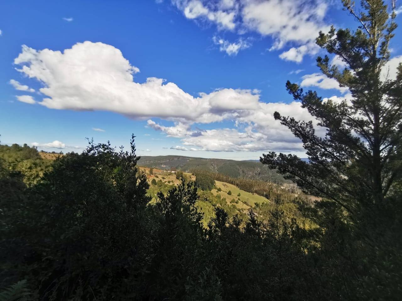 property_gallery_img_4548