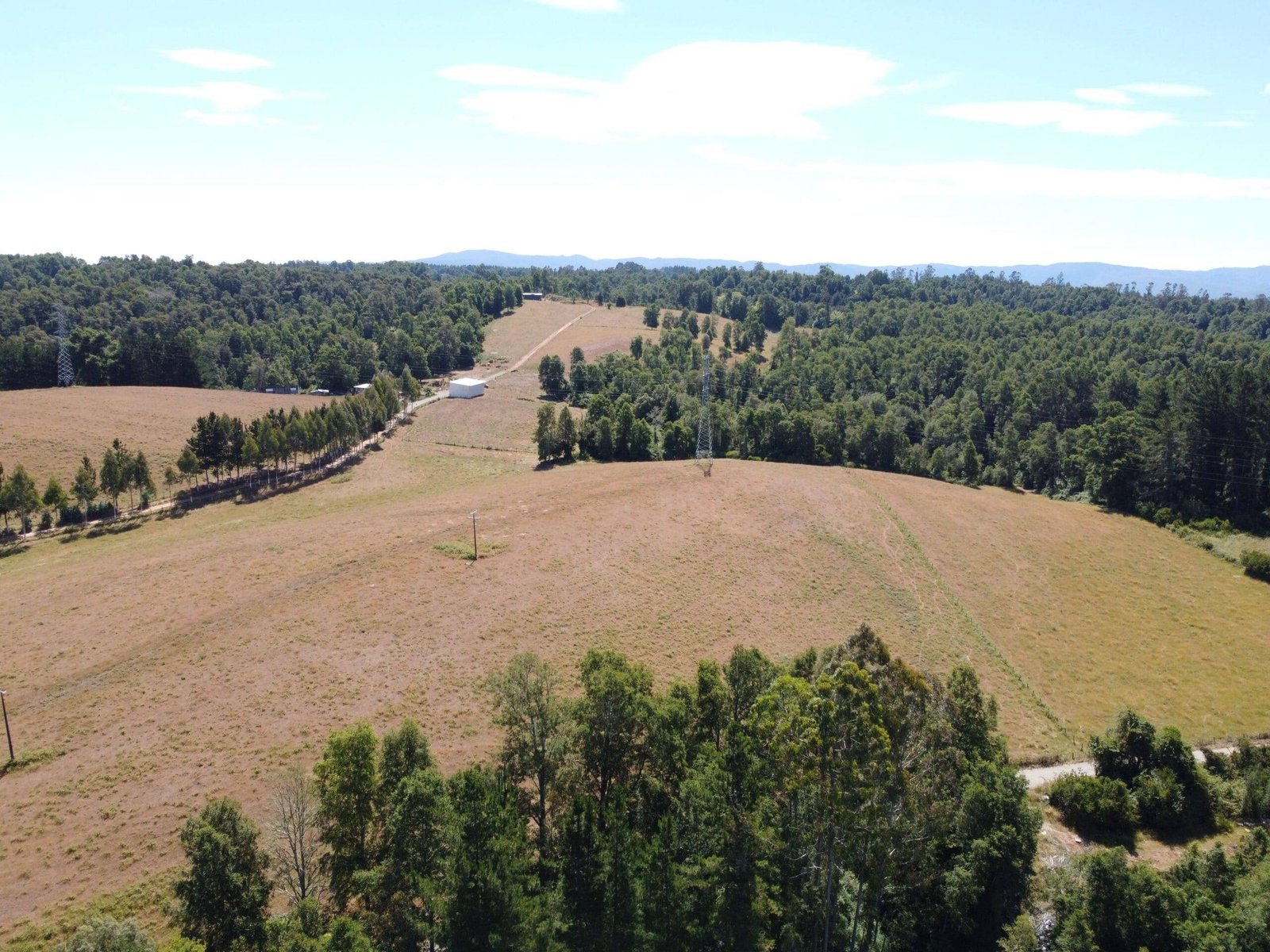 property_gallery_img_4705