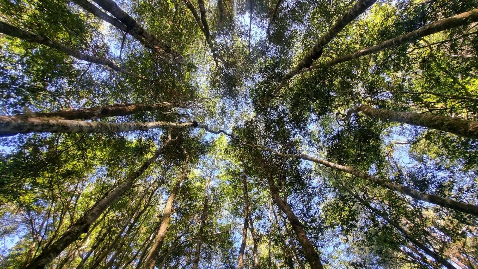 property_gallery_img_4674