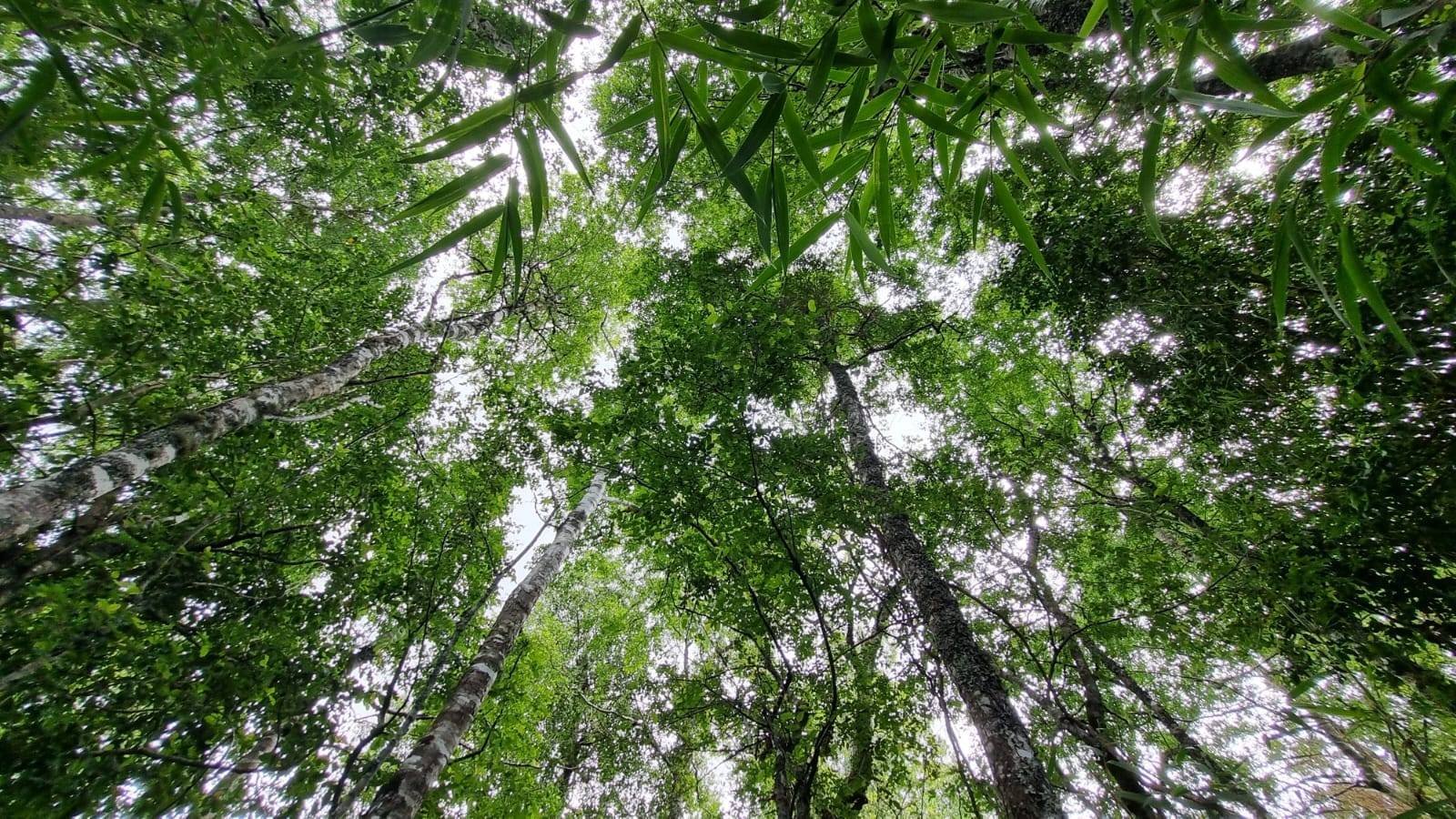 property_gallery_img_4602