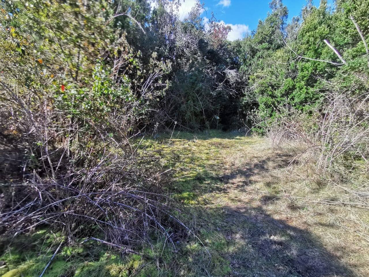 property_gallery_img_4549