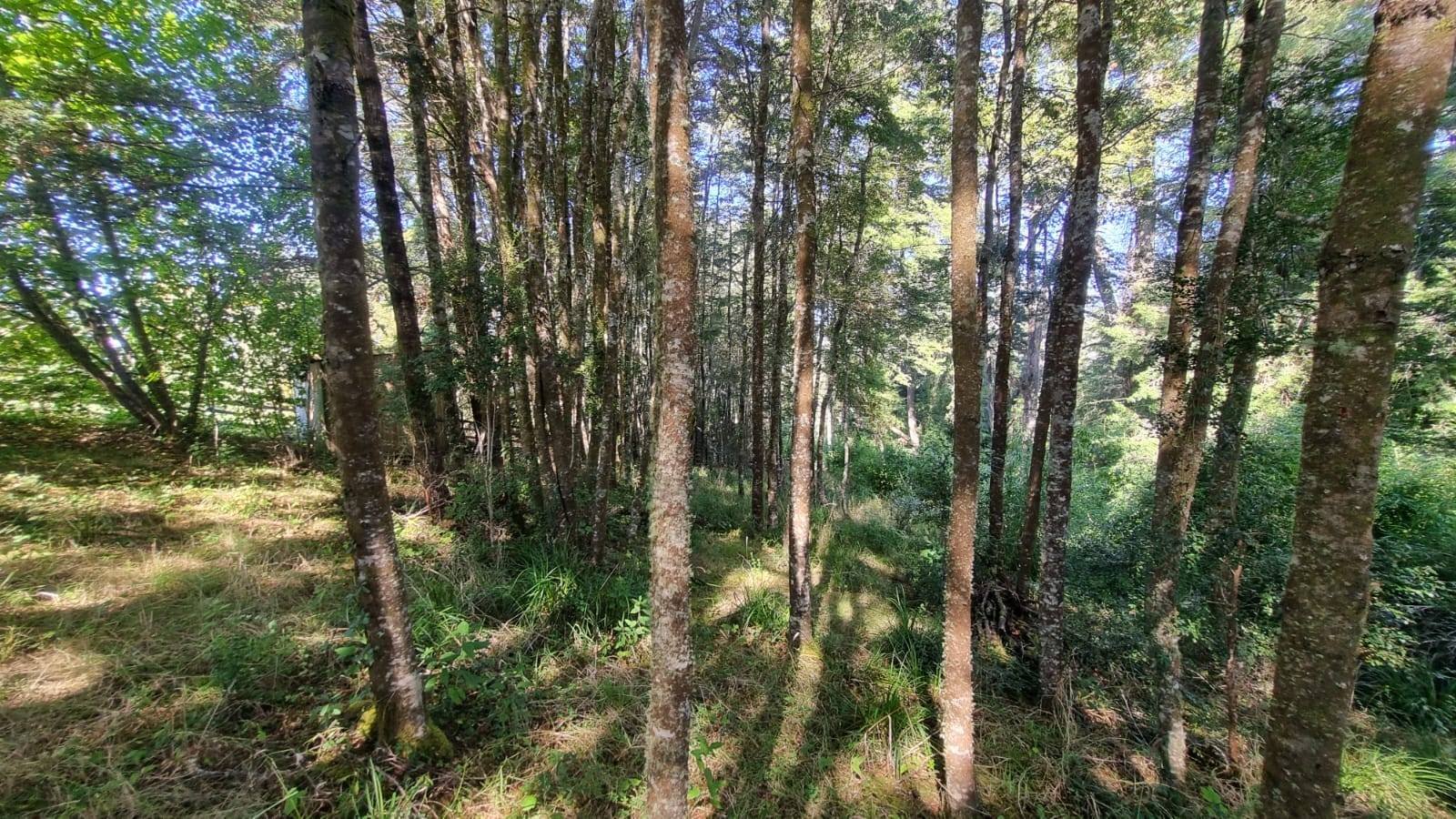 property_gallery_img_4675