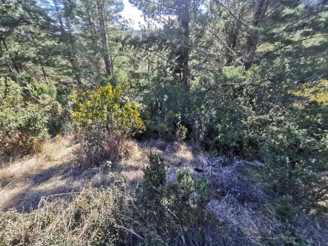 property_gallery_img_4550