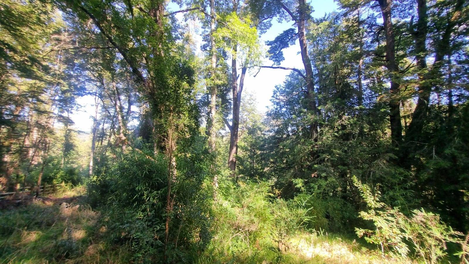 property_gallery_img_4676