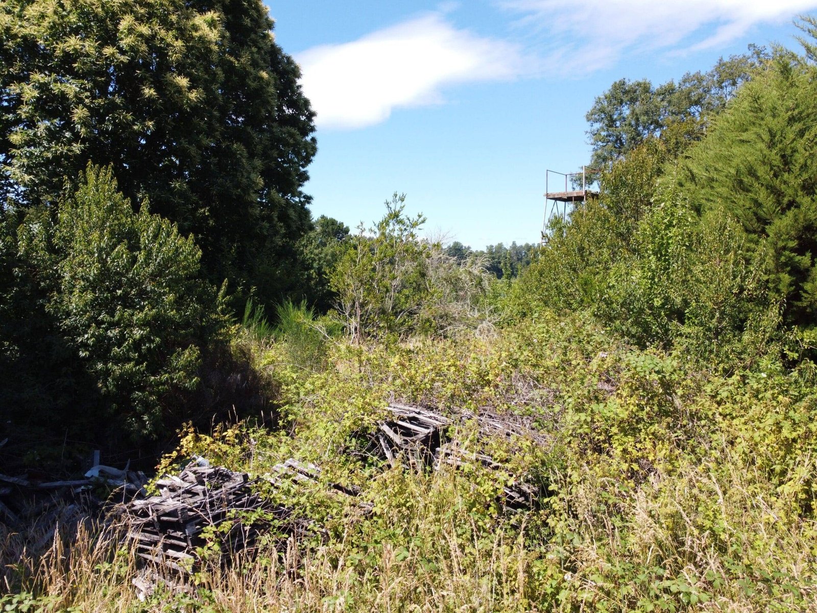 property_gallery_img_4707