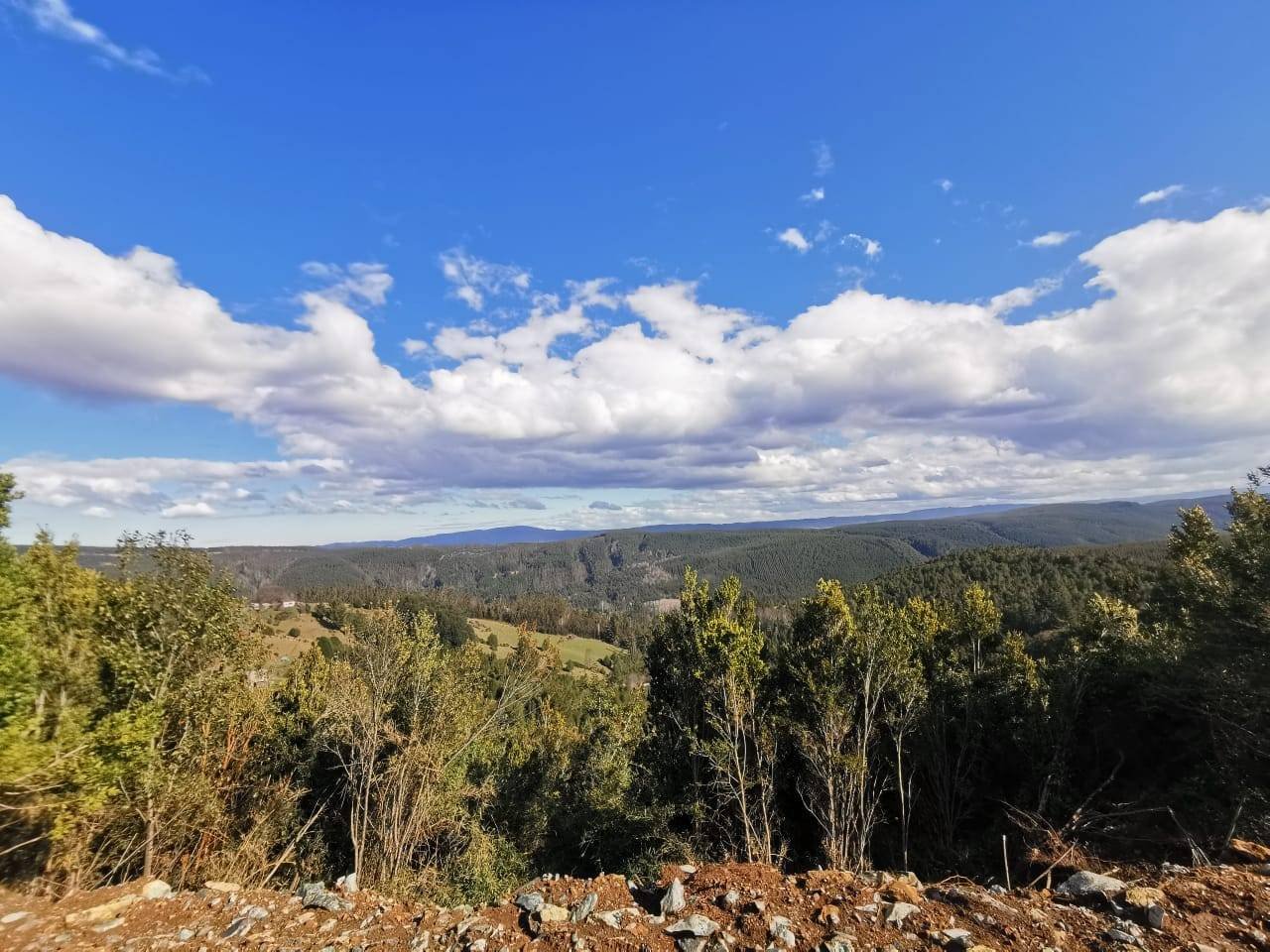 property_gallery_img_4551