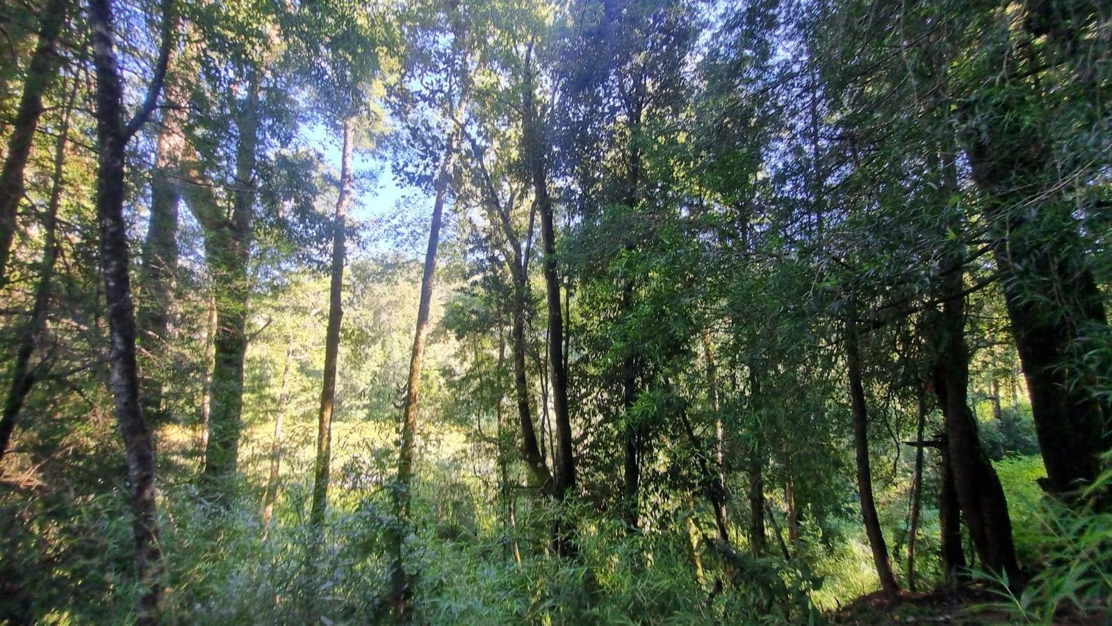 property_gallery_img_4677