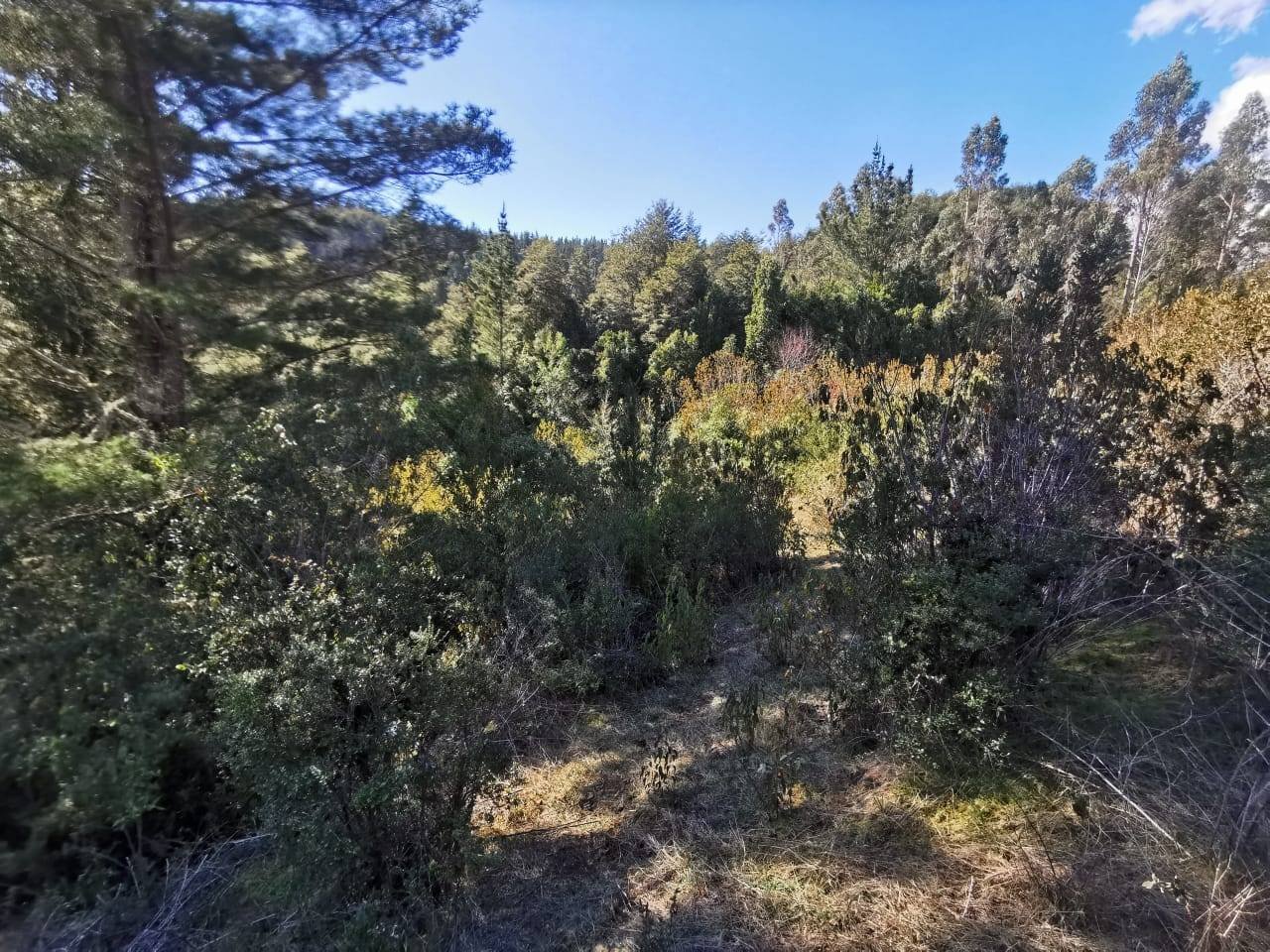 property_gallery_img_4552