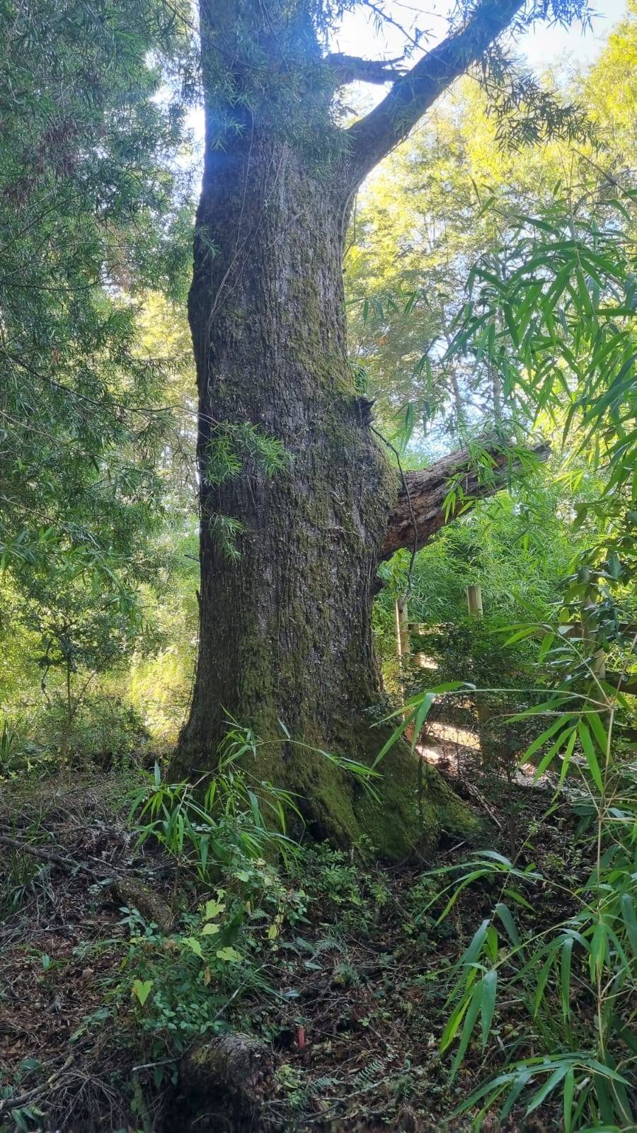 property_gallery_img_4678