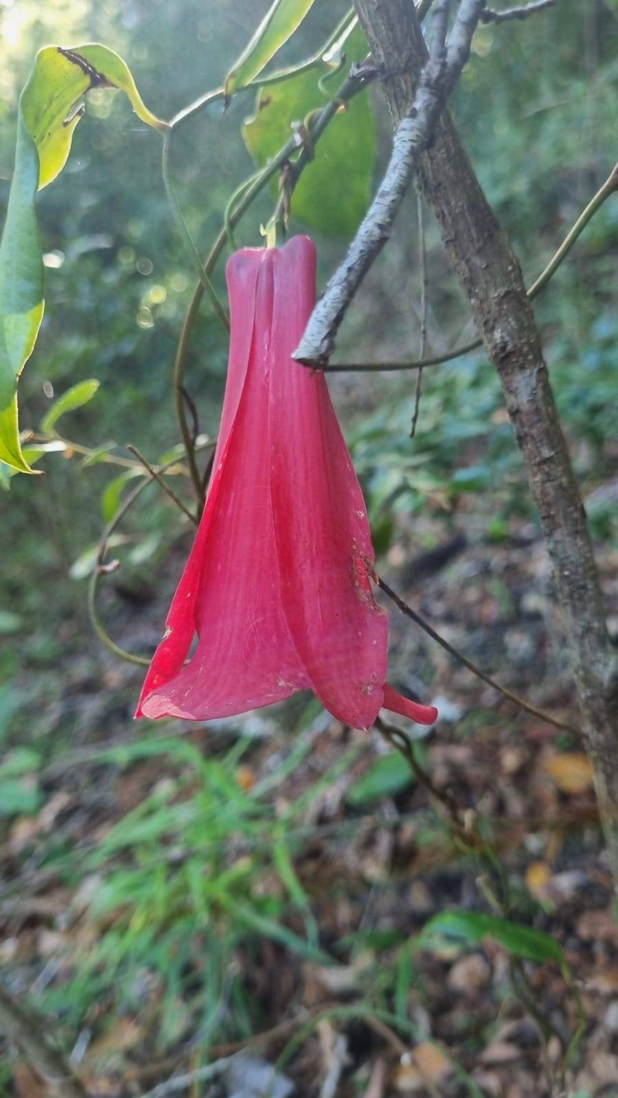 property_gallery_img_4679