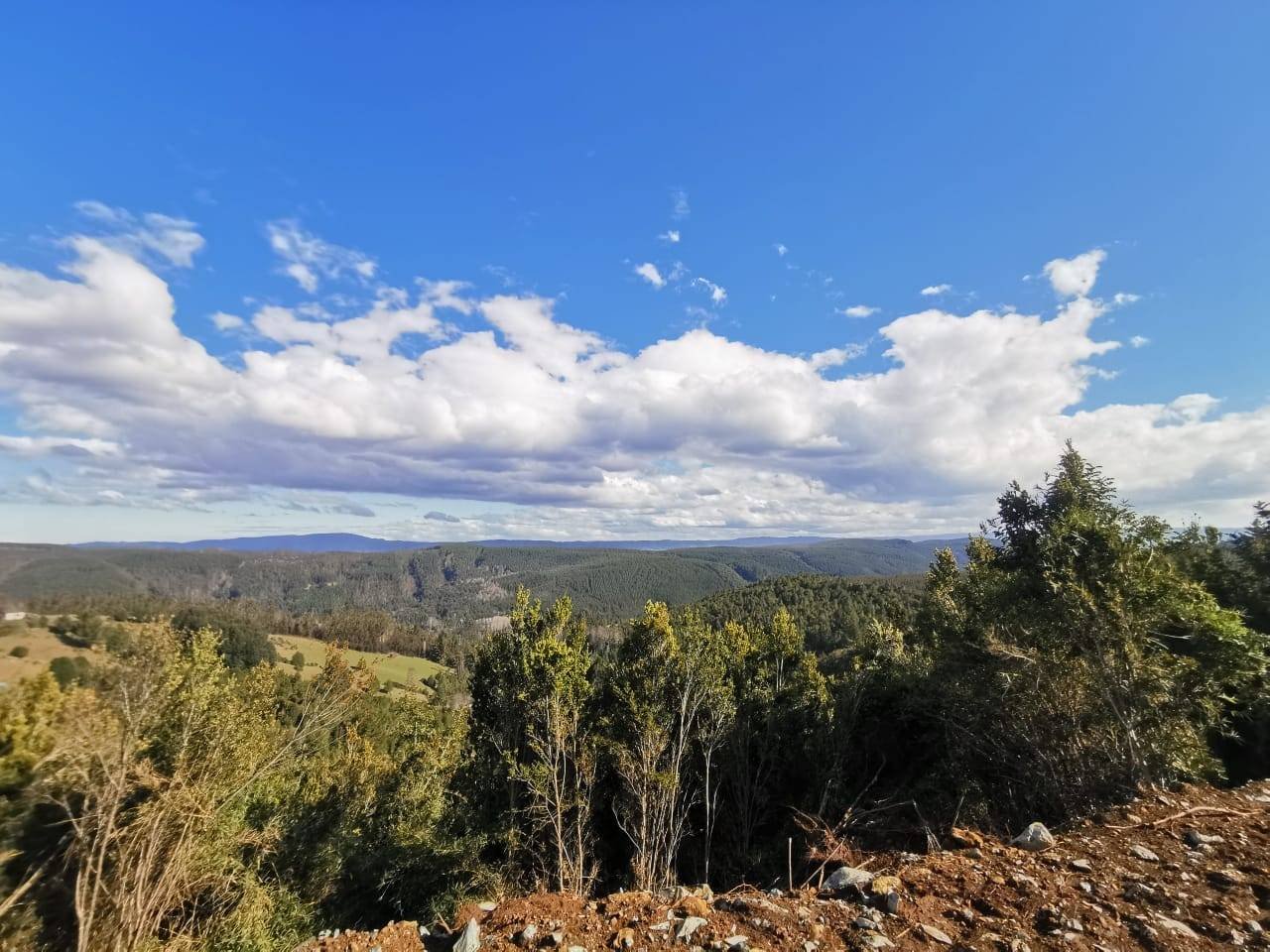 property_gallery_img_4554