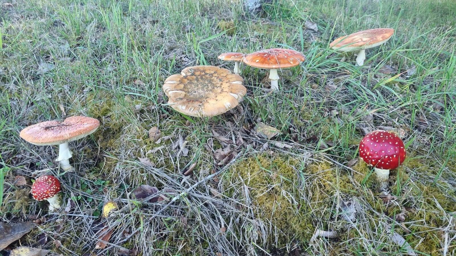 property_gallery_img_4680