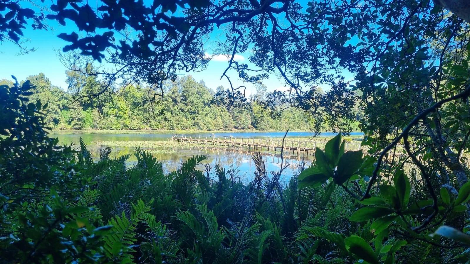 property_gallery_img_4681