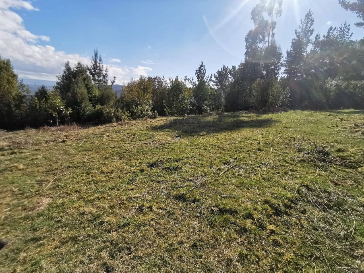 property_gallery_img_4556