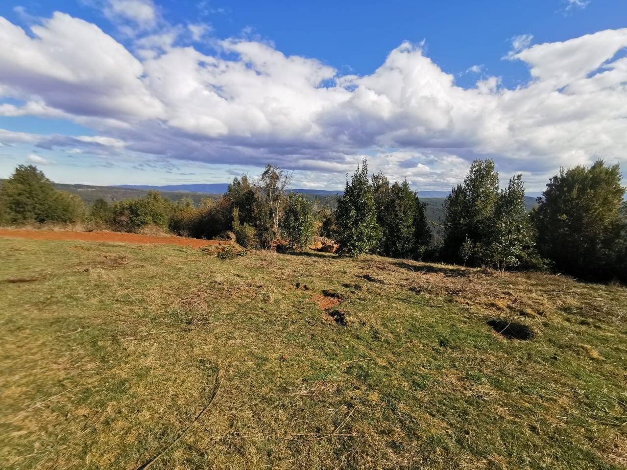 property_gallery_img_4557