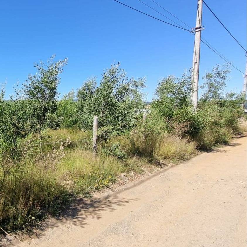 property_gallery_img_4657