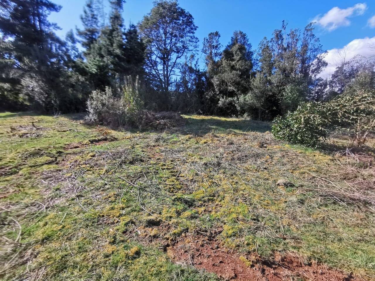 property_gallery_img_4559