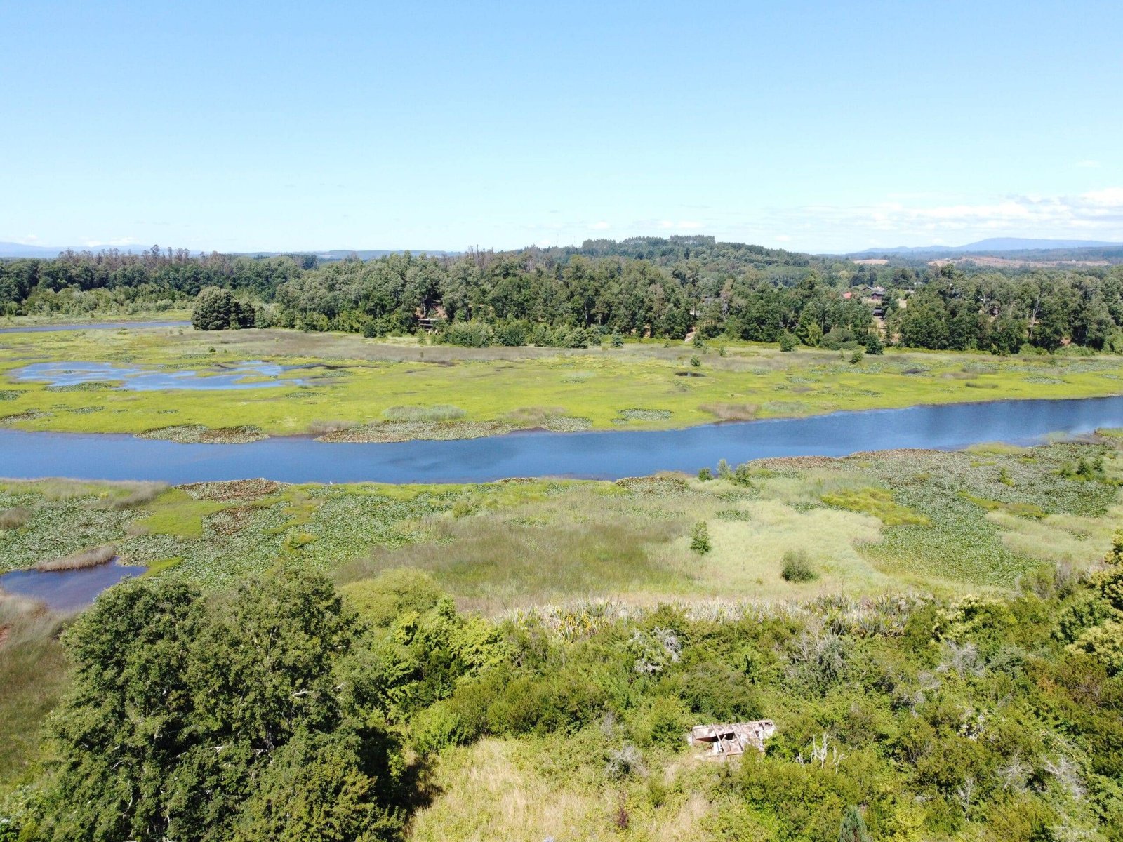 property_gallery_img_4697