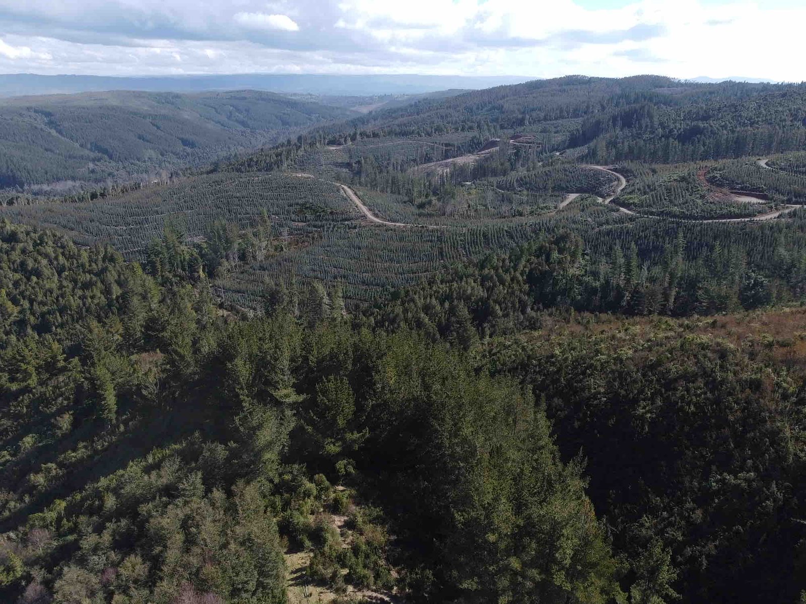 property_gallery_img_4541