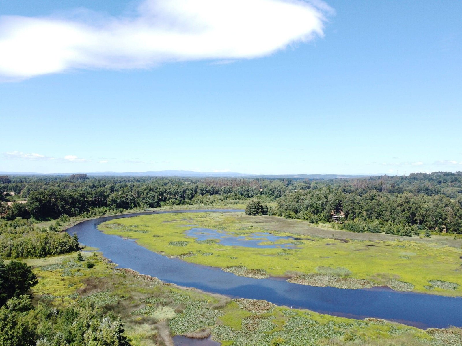 property_gallery_img_4698