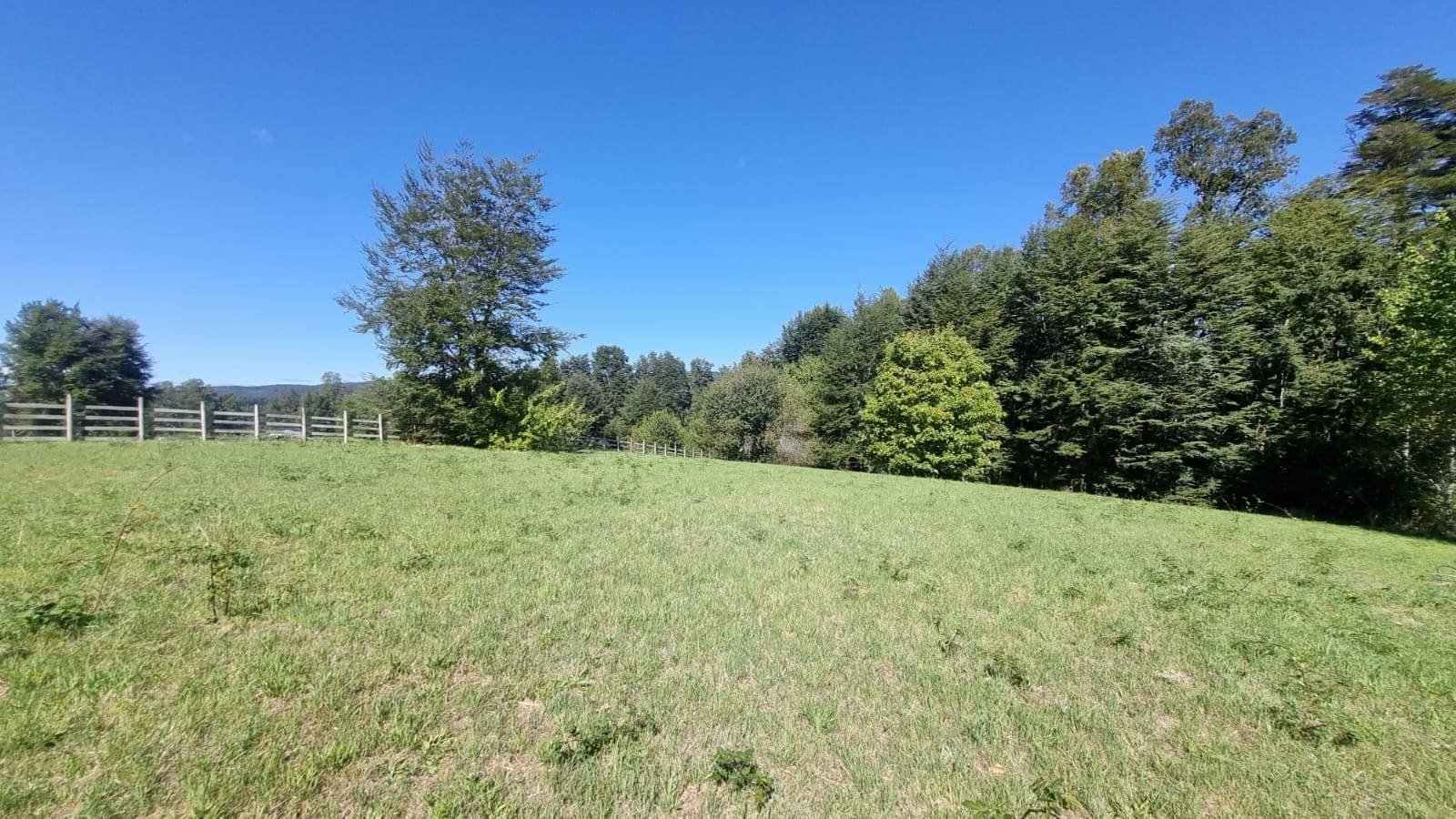 property_gallery_img_4667