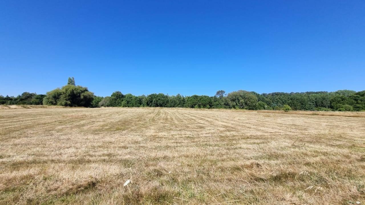 property_gallery_img_4637