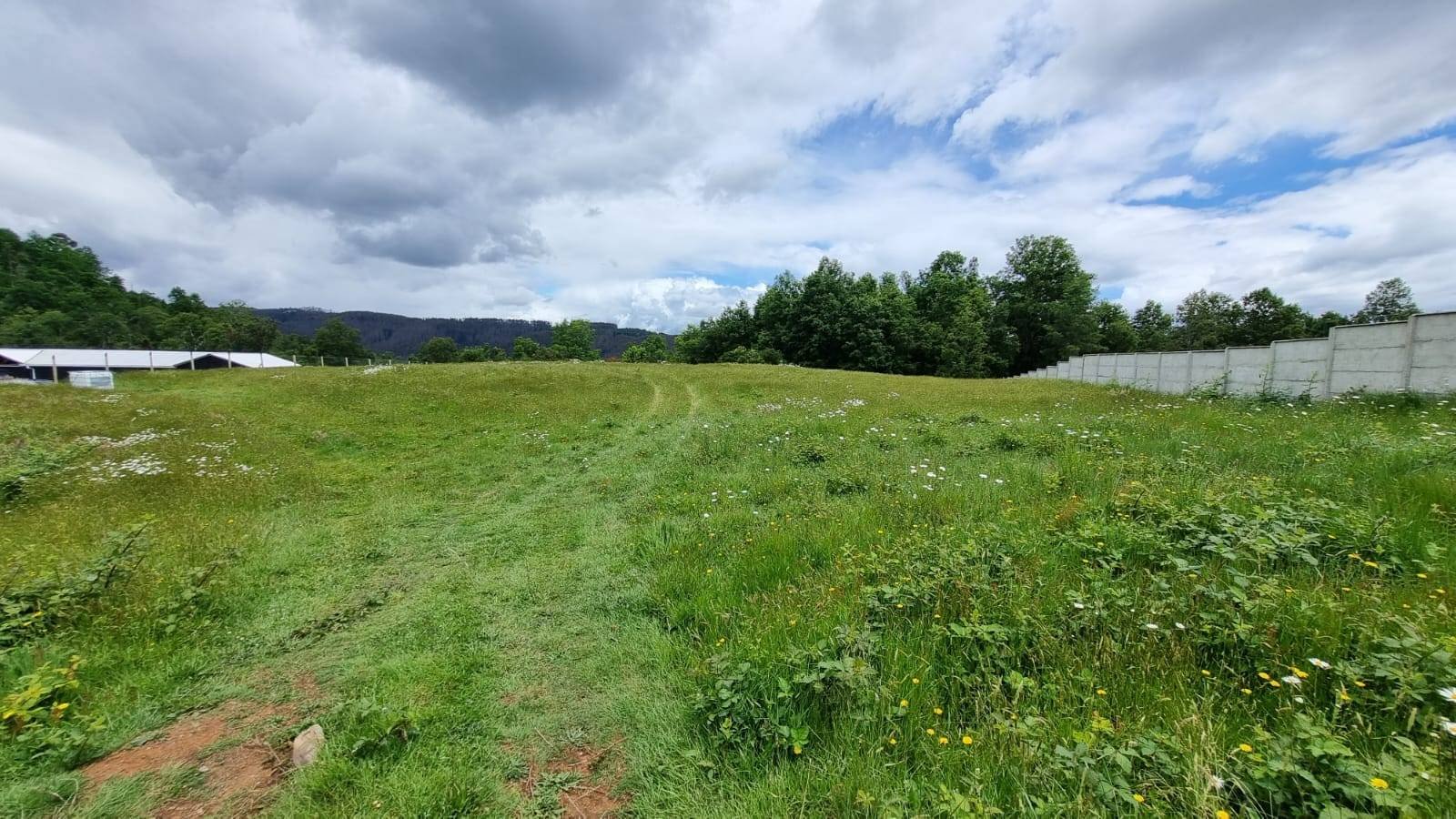 property_gallery_img_4595