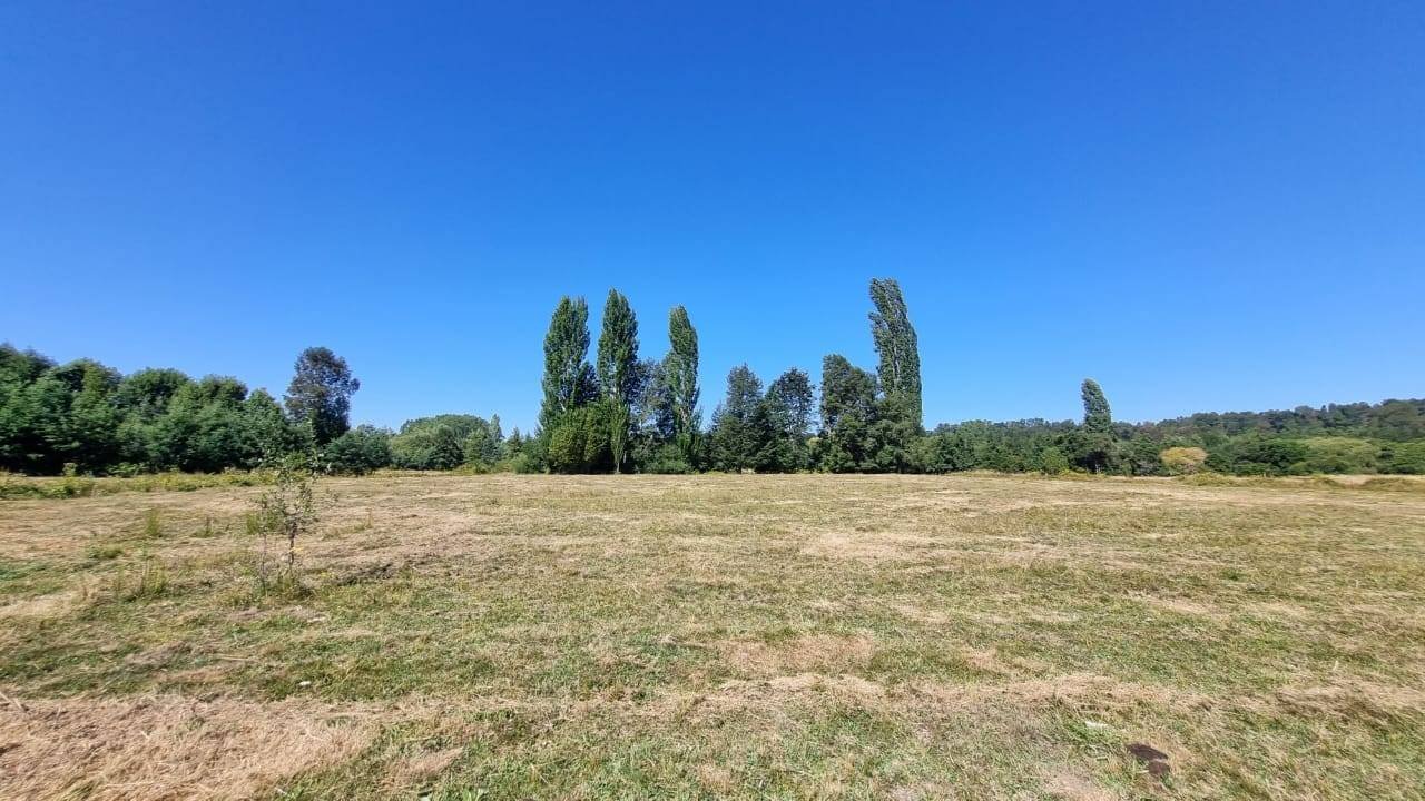 property_gallery_img_4638