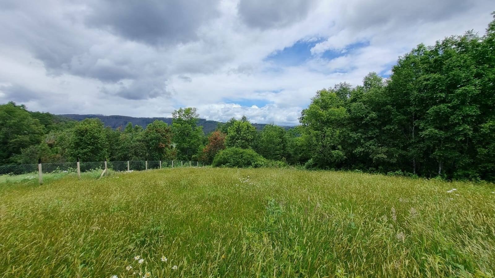 property_gallery_img_4596