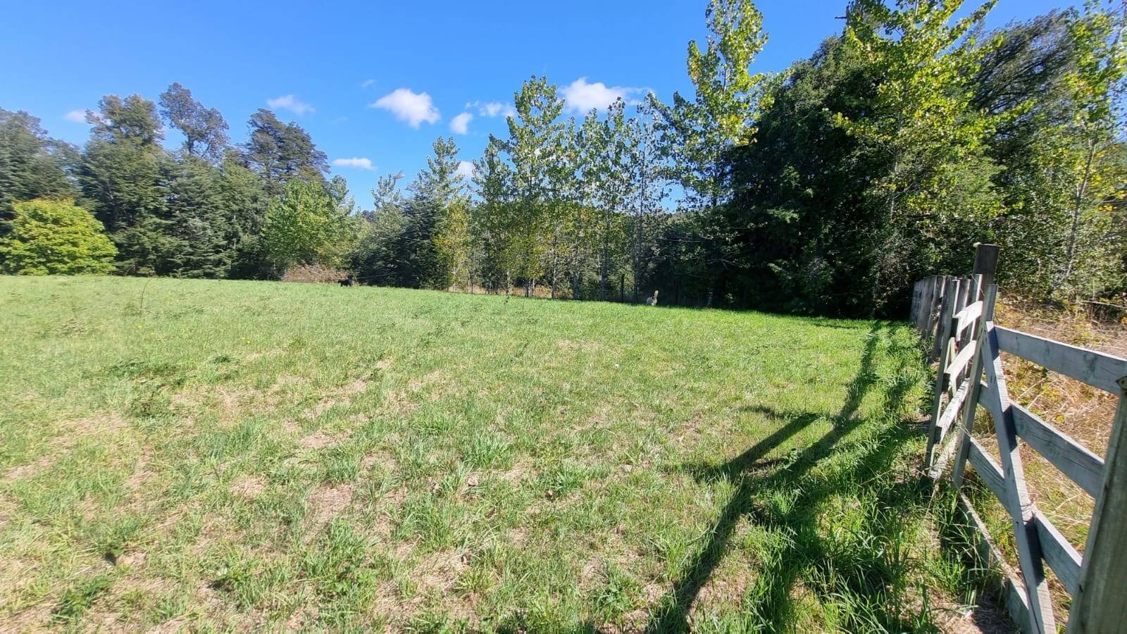 property_gallery_img_4668