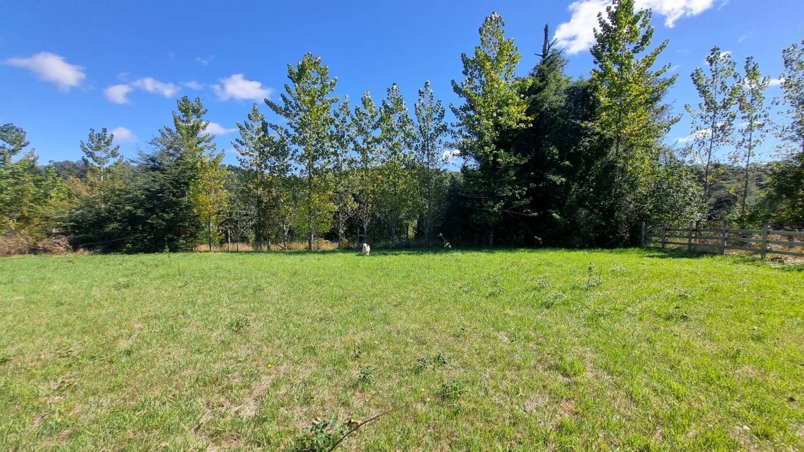 property_gallery_img_4669