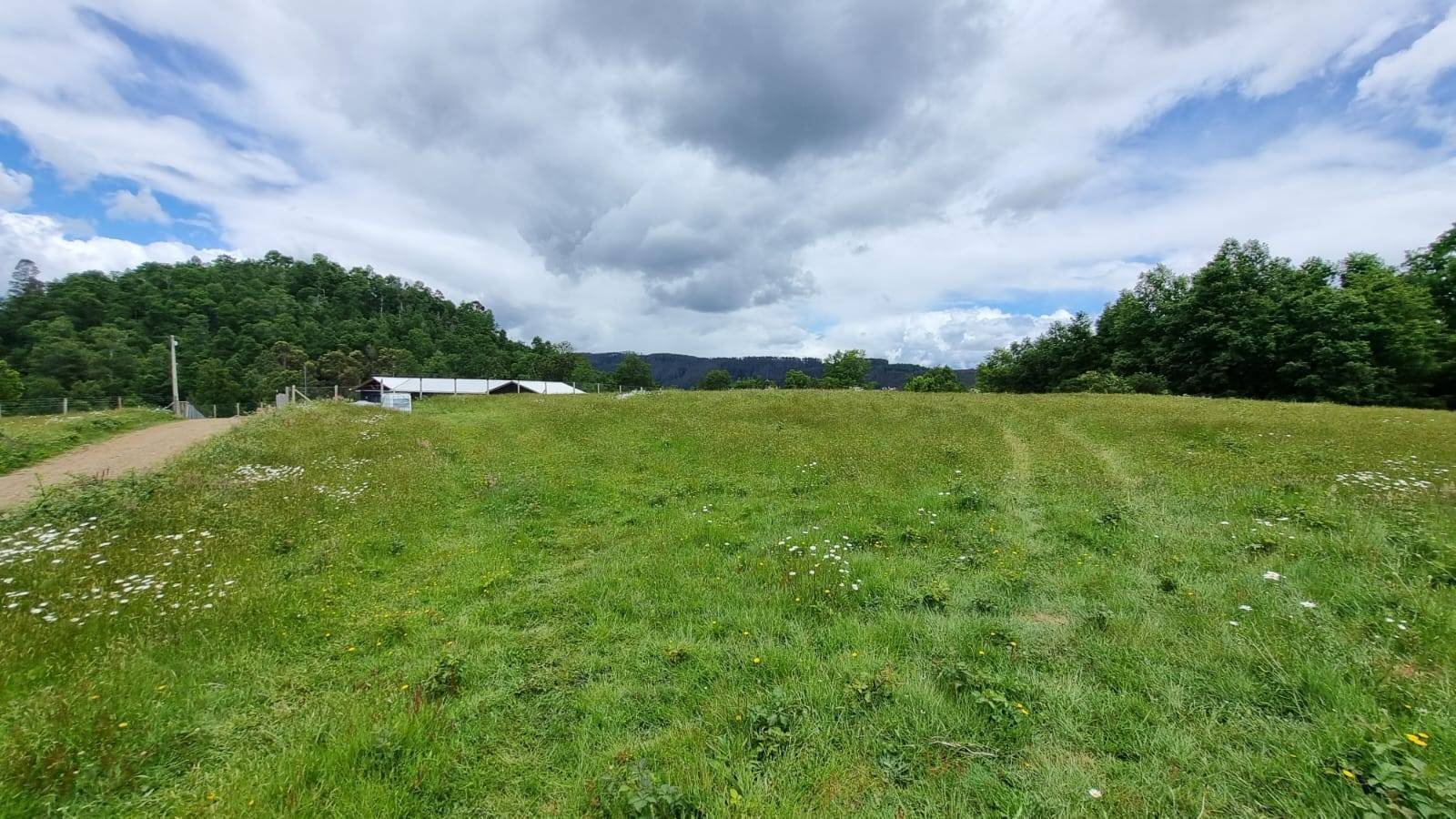 property_gallery_img_4597