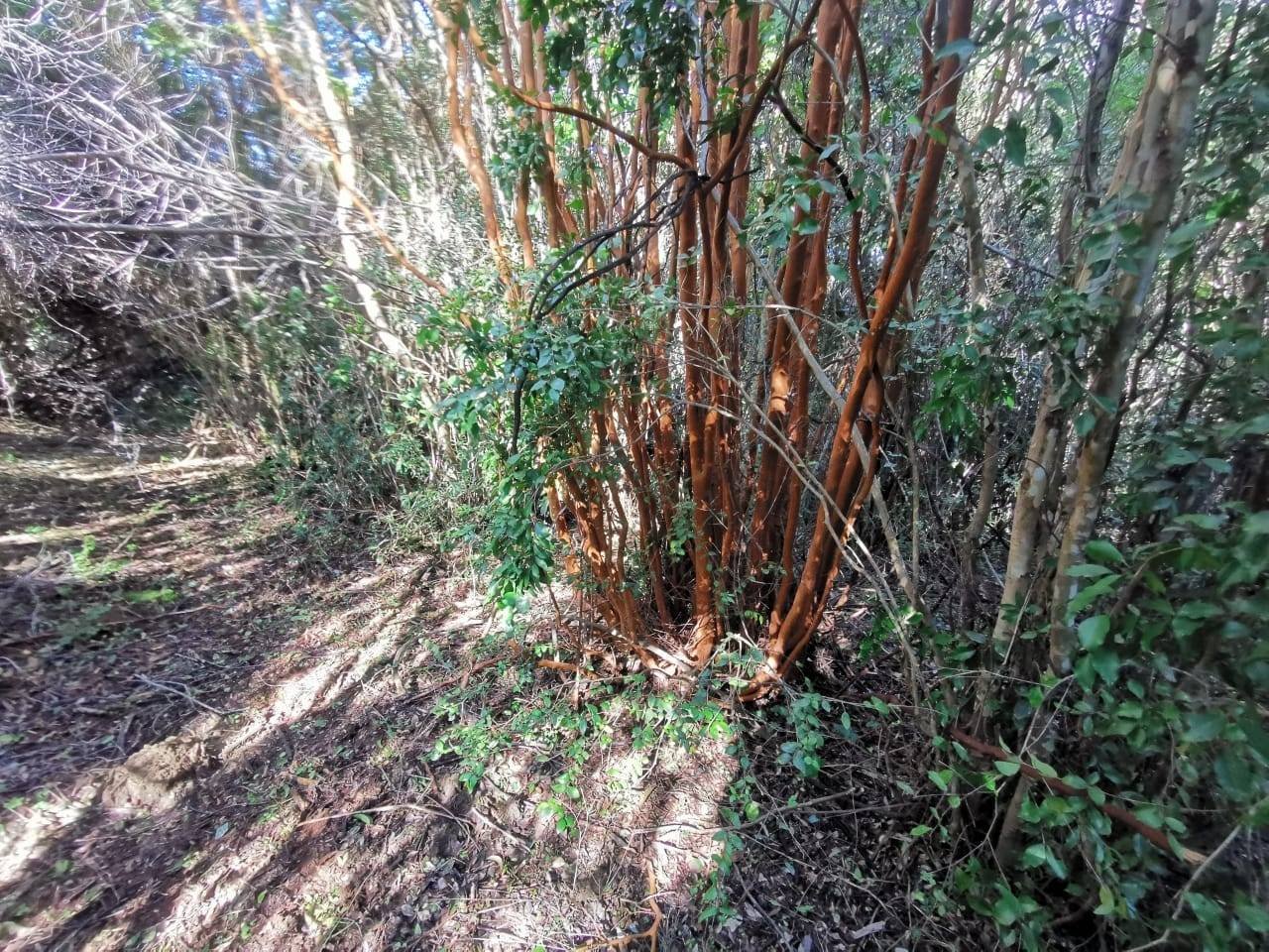 property_gallery_img_4544