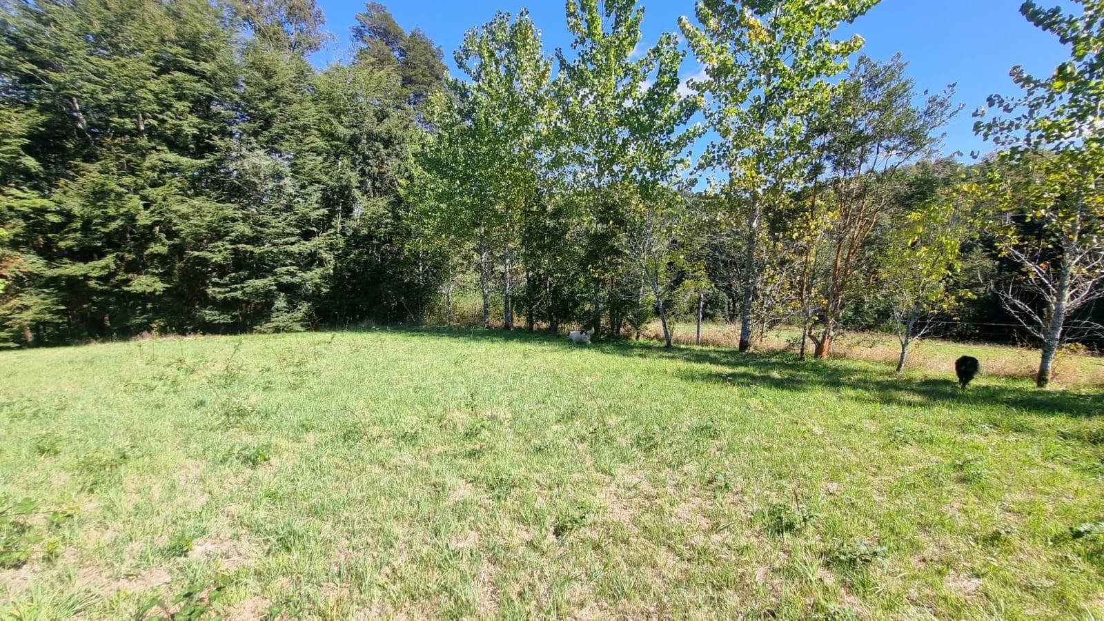 property_gallery_img_4670