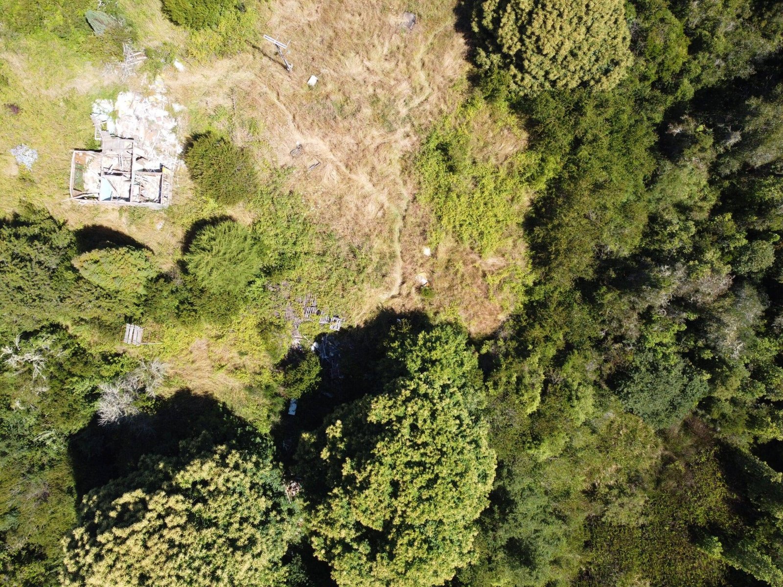 property_gallery_img_4701