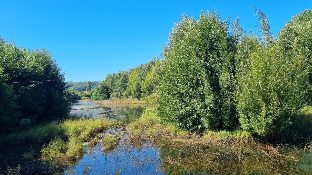 property_gallery_img_4640