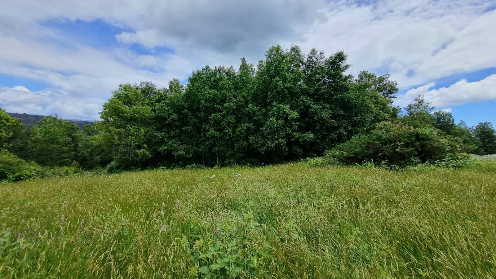 property_gallery_img_4598