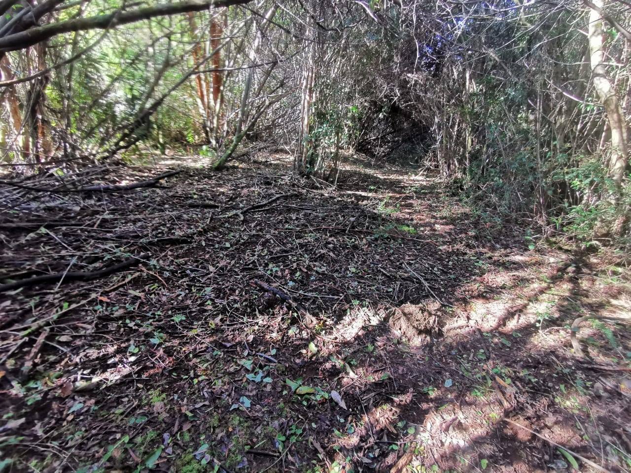 property_gallery_img_4545