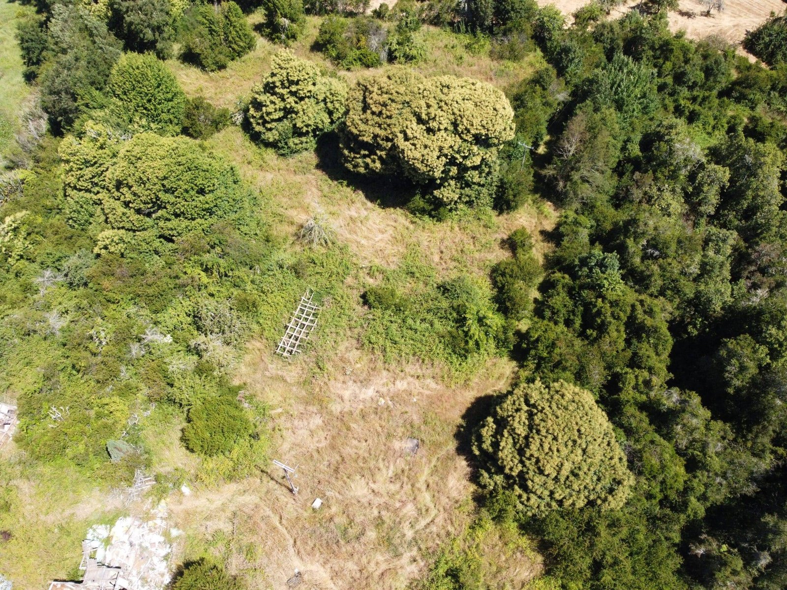 property_gallery_img_4702