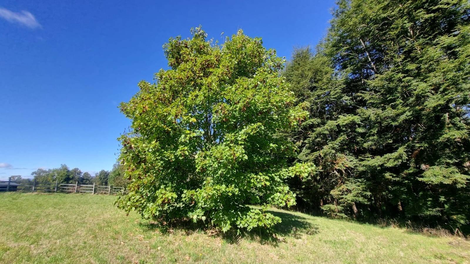 property_gallery_img_4671