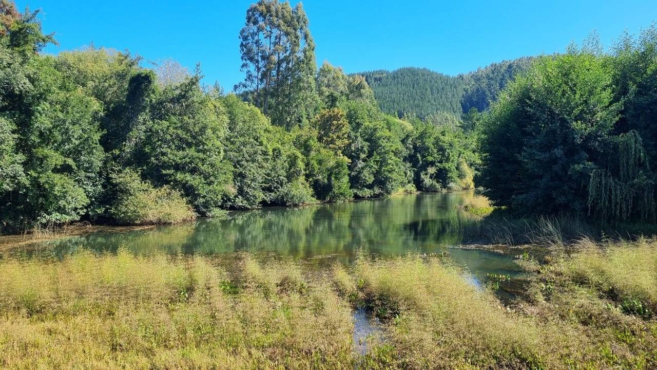 property_gallery_img_4641