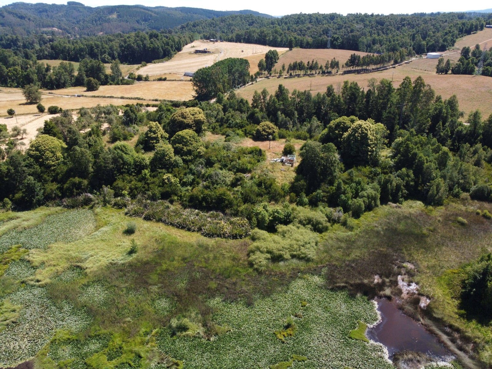 property_gallery_img_4703