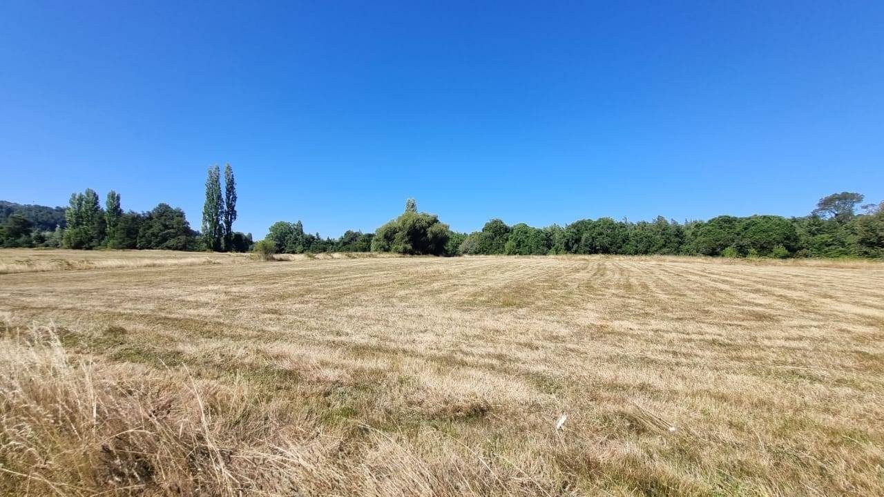 property_gallery_img_4642