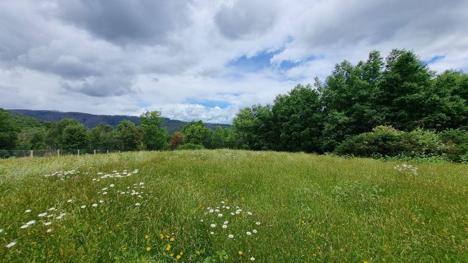 property_gallery_img_4600