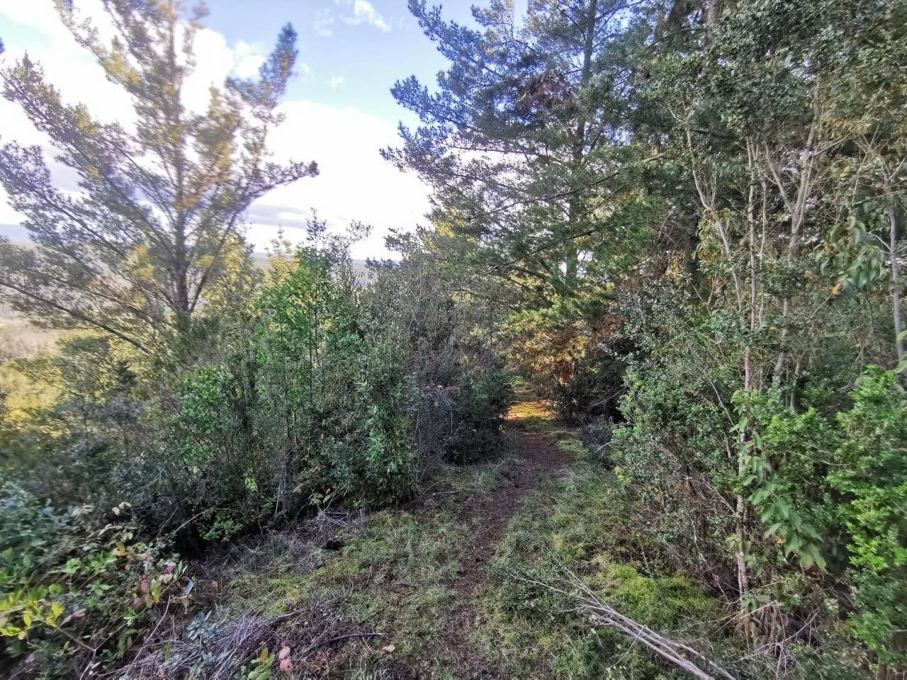 property_gallery_img_4547